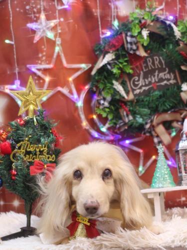 20231220ハクくん